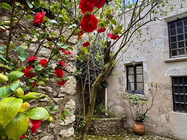 Appartement 5 pièces 105 m²