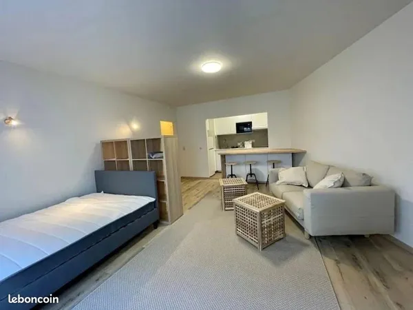 Appartement meublé 1 pièce 30m2 refait à neuf