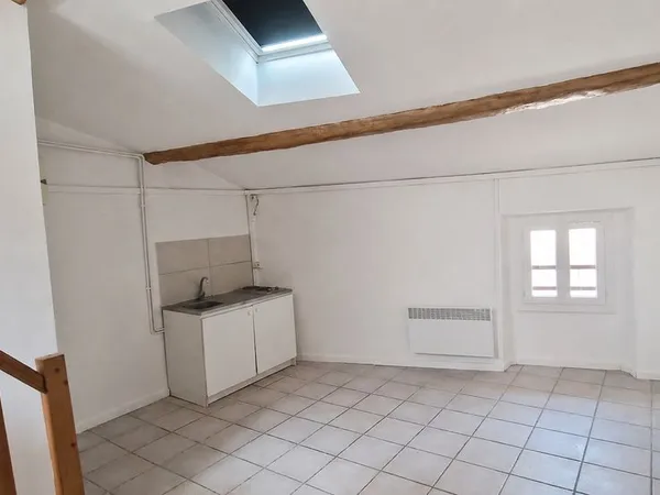 Duplex 1 pièce 33 m²