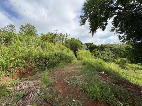 LE FRANCOIS : Terrain de 1 081 m2, Environnement verdoyant et paisible.