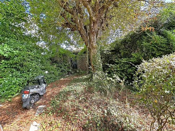 Terrain 195 m²