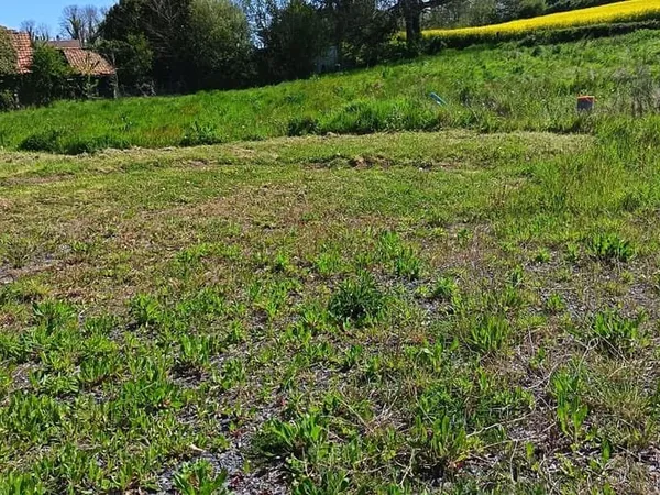 Terrain 4571 m²