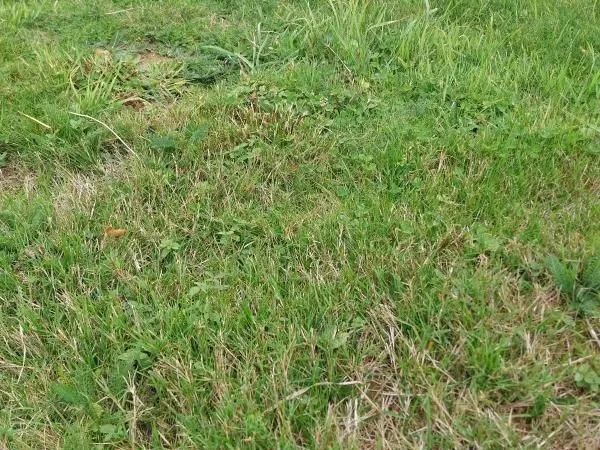 Terrain 300 m² Pordic