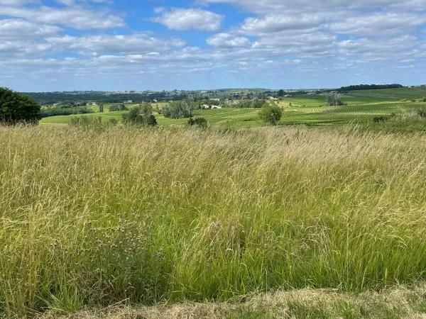 Terrain 510 m² Saint Maixant