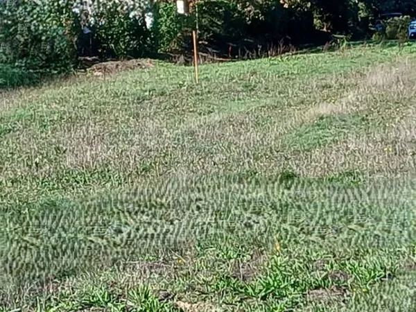 Terrain 370 m²