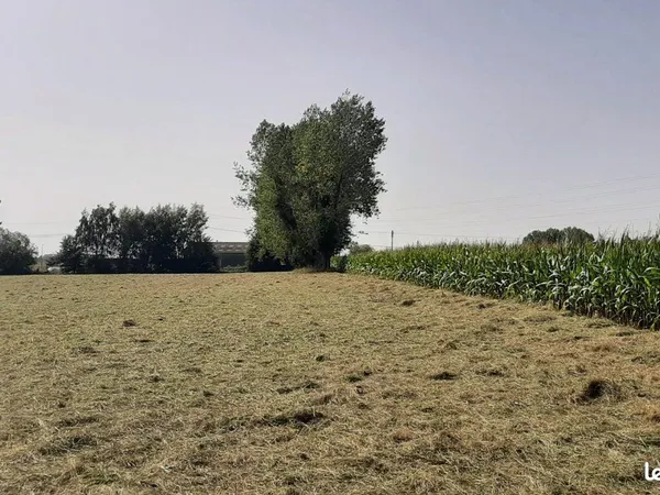 Terrain 700 m² Saint Jean Du Cardonnay