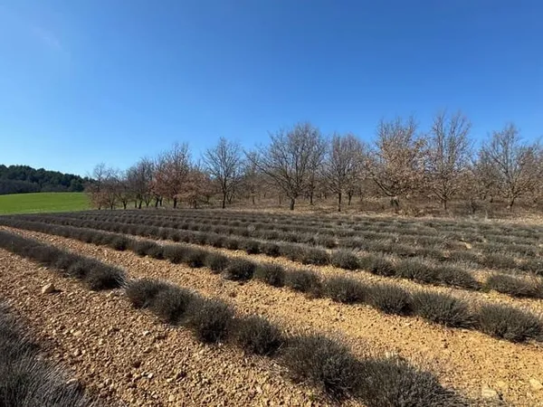 Terrain 755 m²