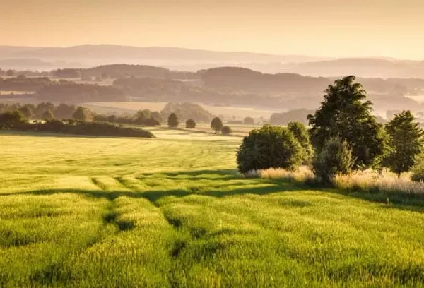 Terrain 1035 m²