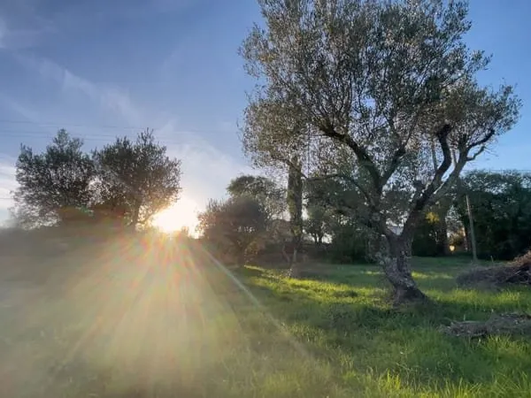 Rare opportunité ! Terrain Constructible de 1200 m2, proche des Gorges du Gardon.
