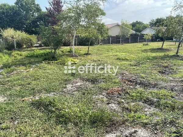 Terrain 800 m²