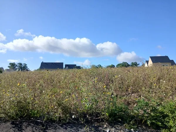 Terrain 435 m²