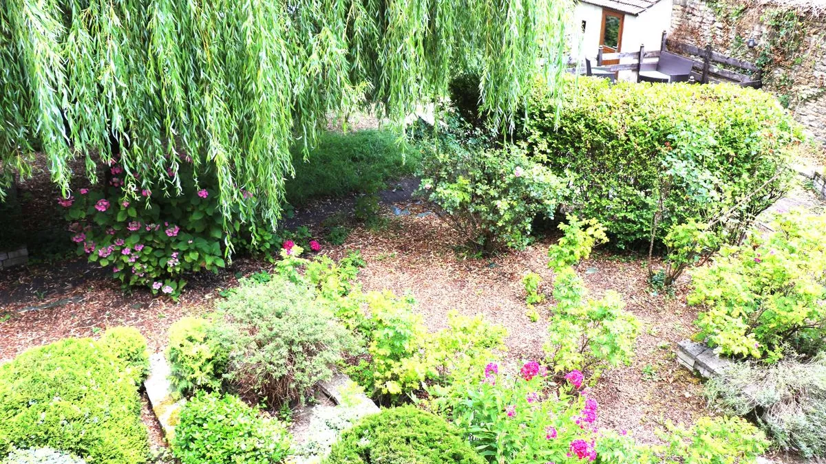 Photo 3