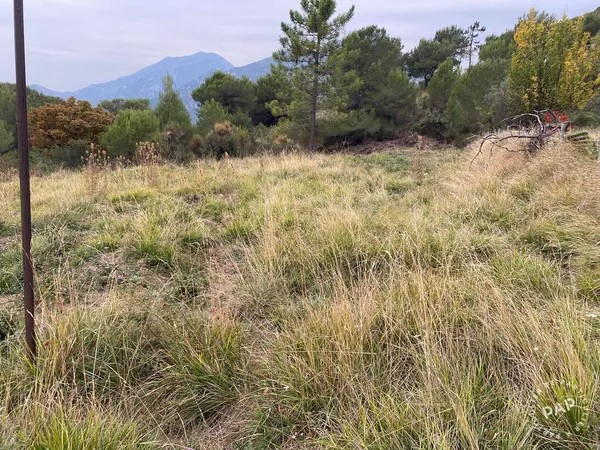 Terrain Vente Breil-sur-Roya   19000€