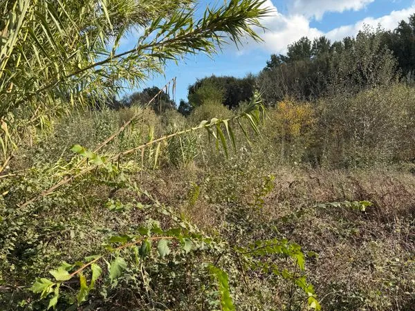 Rare terrain de loisirs Cogolin