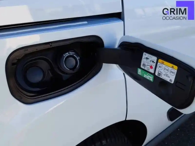 Ford Transit Connect fgn l1 1.0e100 e85 s&amp;s — photo 20