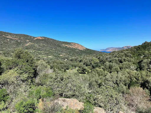 Terrain 2320 m²