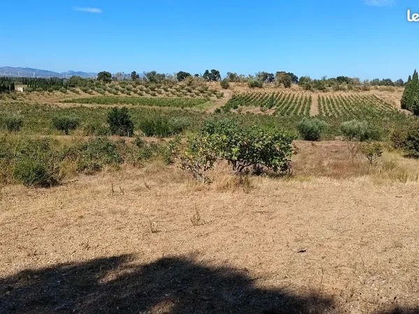 Immobilier, propriété agricole