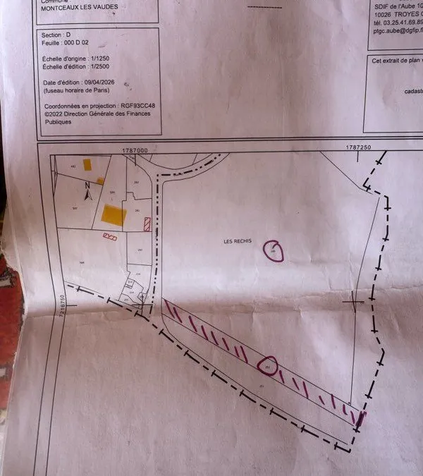 Photo 3