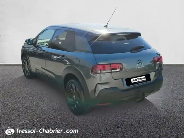 Citroën C4 cactus puretech 110 s&amp;s bvm6 shine — photo 19