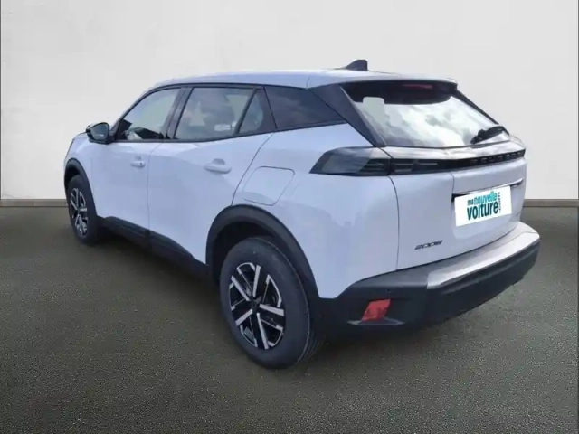 Peugeot 2008 hybrid 110 e-dcs6 — photo 47