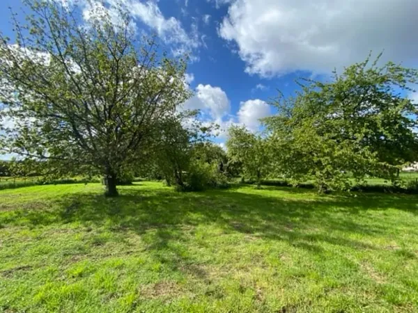 Terrain 1263 m²