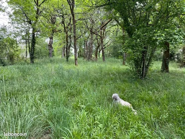 Terrain 1 940 m² Chauffour Sur Vell