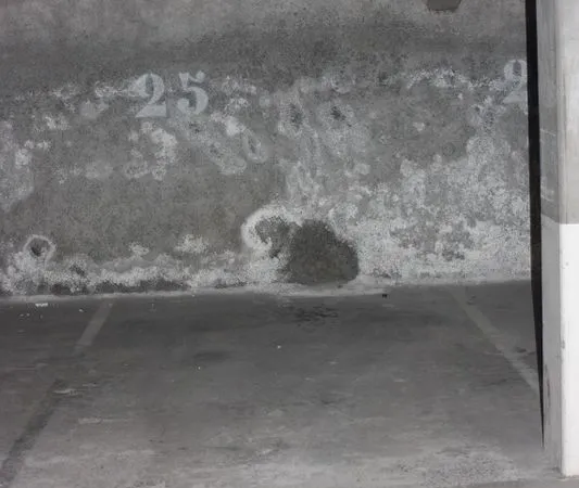 Location - Place de Parking en sous sol - Vieux Lille (proche IAE)