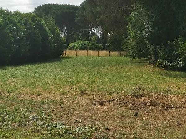 Terrain 990 m²