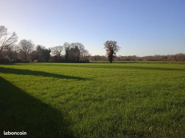 Terrain HORS LOTISSEMENT- 1136 m²