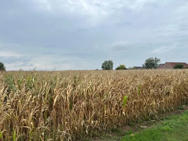 Terrain 2400 m²
