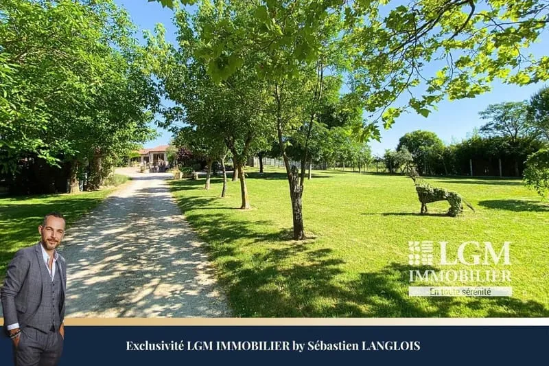 Photo 19