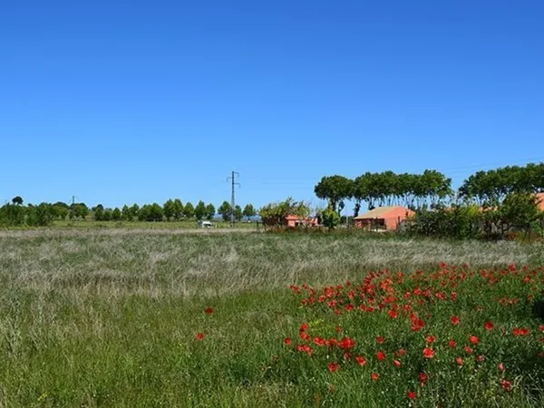 Terrain 259 m²