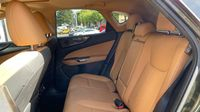 Lexus Nx 450h+ Luxe 4WD MY24 — photo 13
