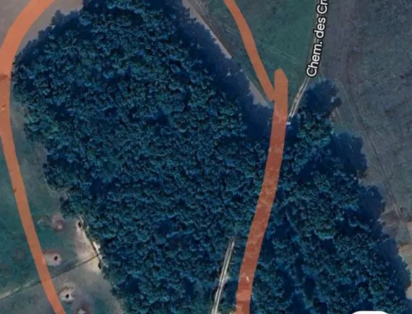 Terrain boisé