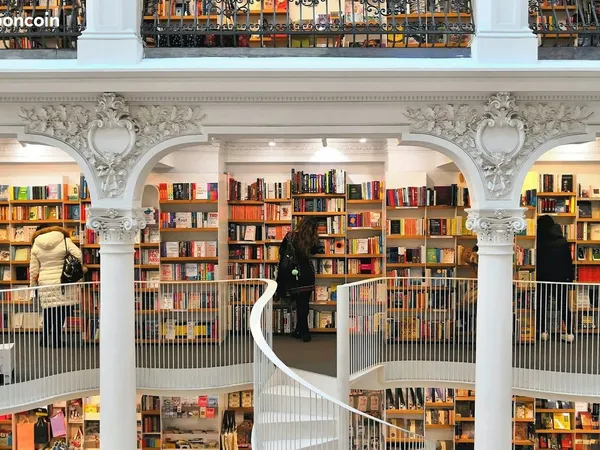 Librairie, papeterie 260 m² Cannes