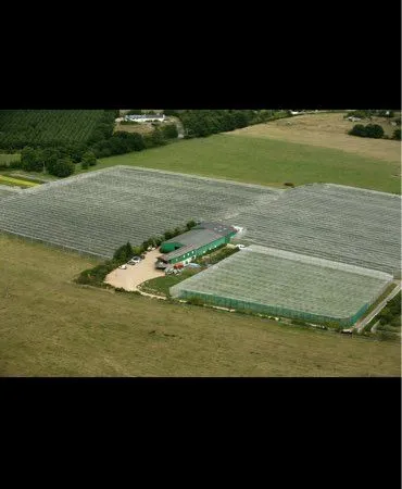 Entreprise d'arboriculture