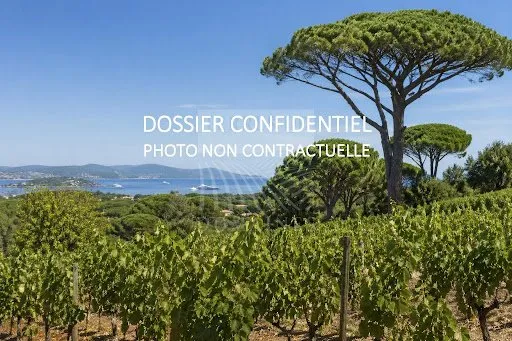 Vignoble 160000 m²