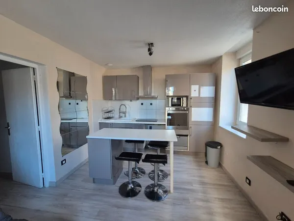 Location meublé T2 centre Roanne proche IUT et gare
