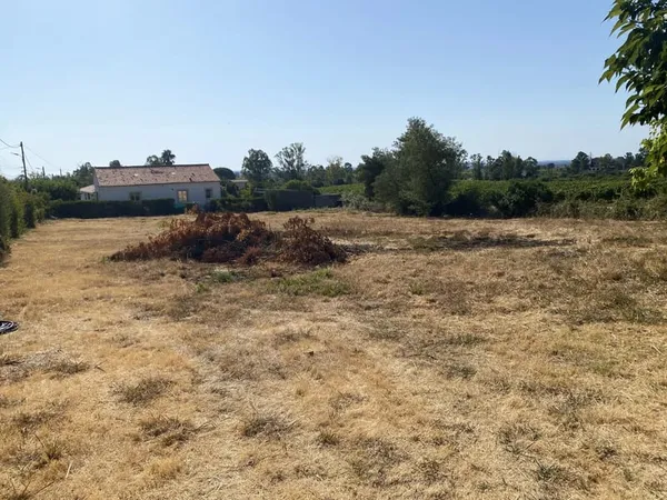 TERRAIN CONSTRUCTIBLE 1037 m²