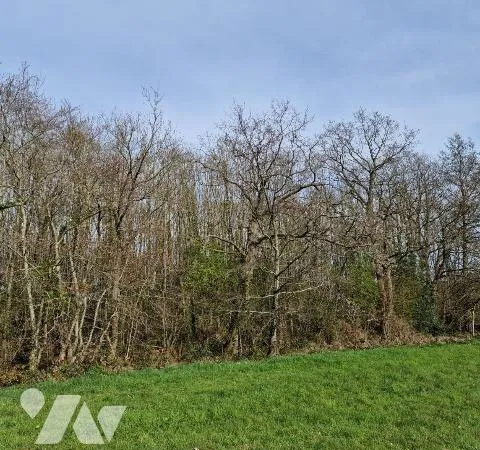 Terrain 12460 m²