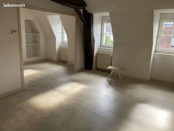 Appartement de charme hyper centre