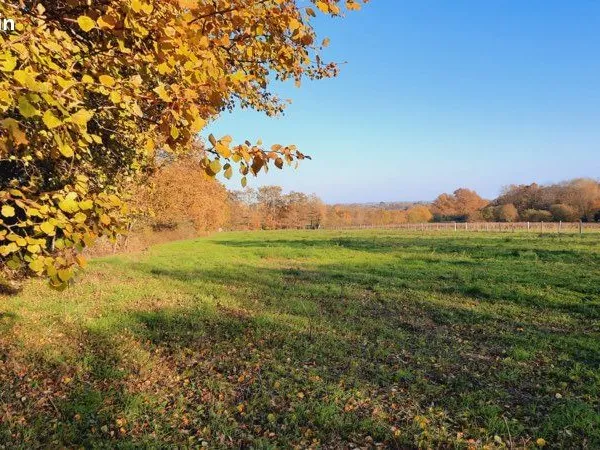 Terrain Agricole Gorges 6500m2 - Les Hauts Mortiers