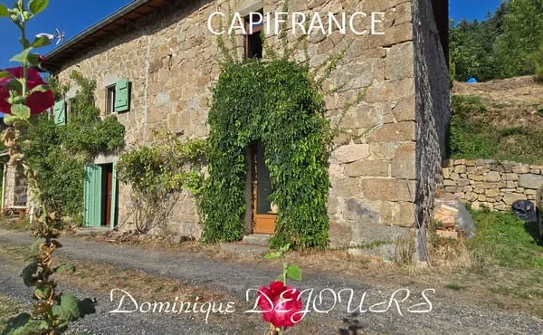 Maison en pierres avec deux logements, terrasse et terrain de 7 800 m² - Saint-Jean-Roure (07160)