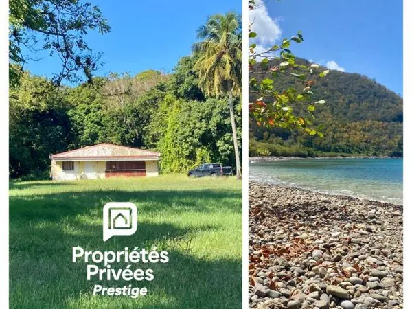 Terrain viabilisé 10000 m2 constructible accès littoral- Pointe Noire -Guadeloupe