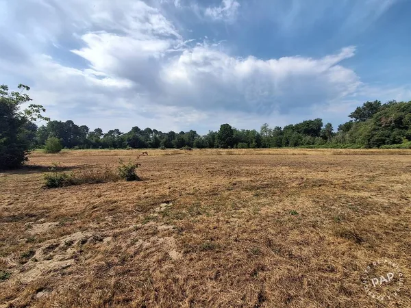 Terrain 1500 m²