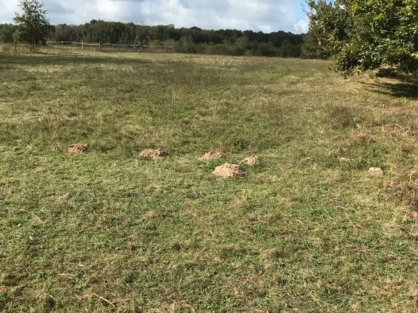Vente terrain à bâtir CLERAC 17270