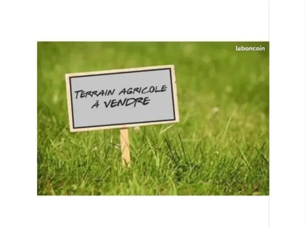 Terrain agricole