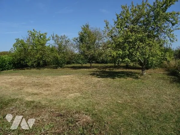 Terrain 1000 m²