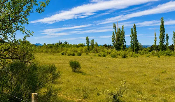 Terrain 13615 m²