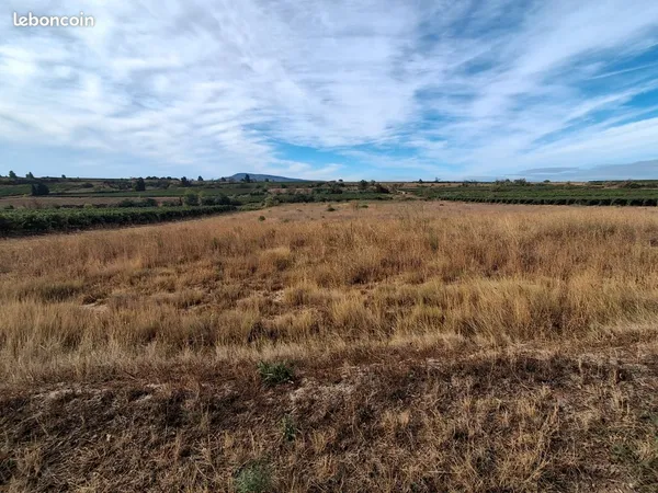 8ha irrigables d'un seul tenant